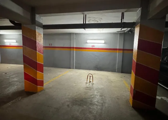 Bright Apartment